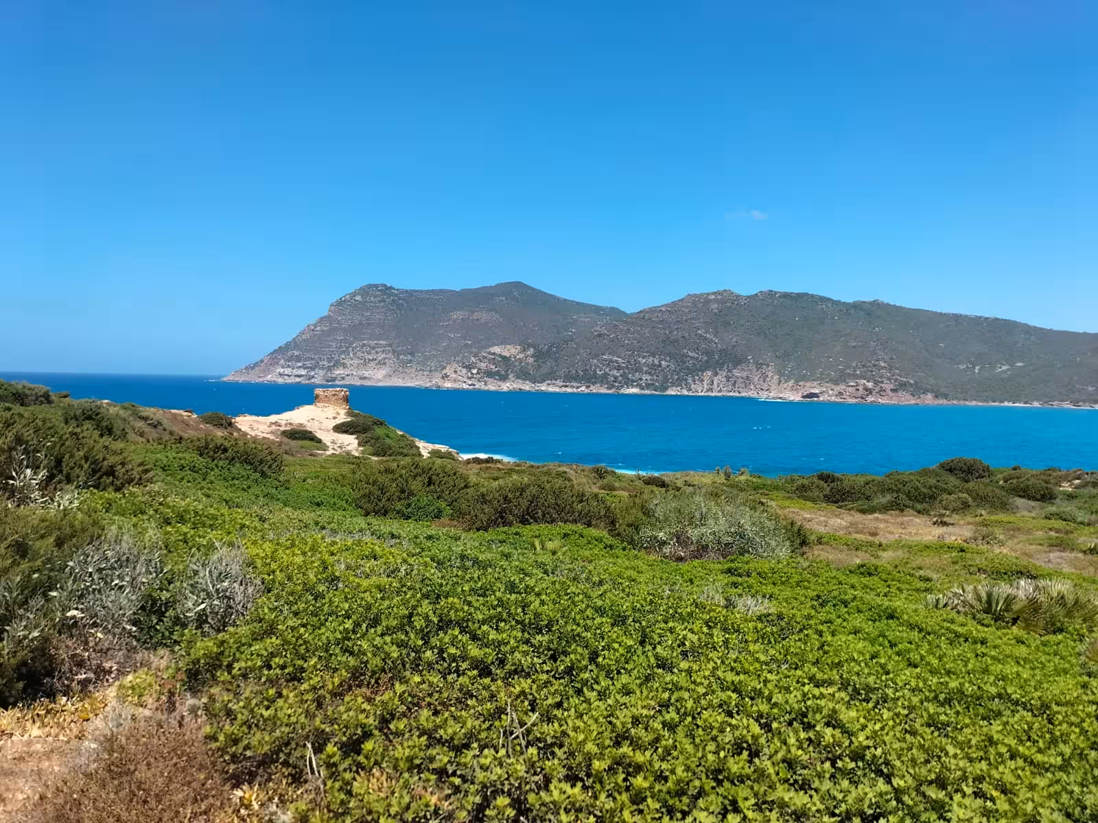 Scenic view of lush greenery and turquoise waters at Porto Ferro, a highlight of the Alghero off-road tour.