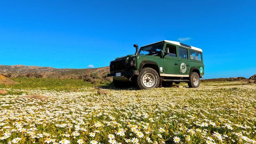 Green off-road vehicle parked on a field of wildflowers under a clear blue sky in Porto Ferro, perfect for Alghero adventure tours.
