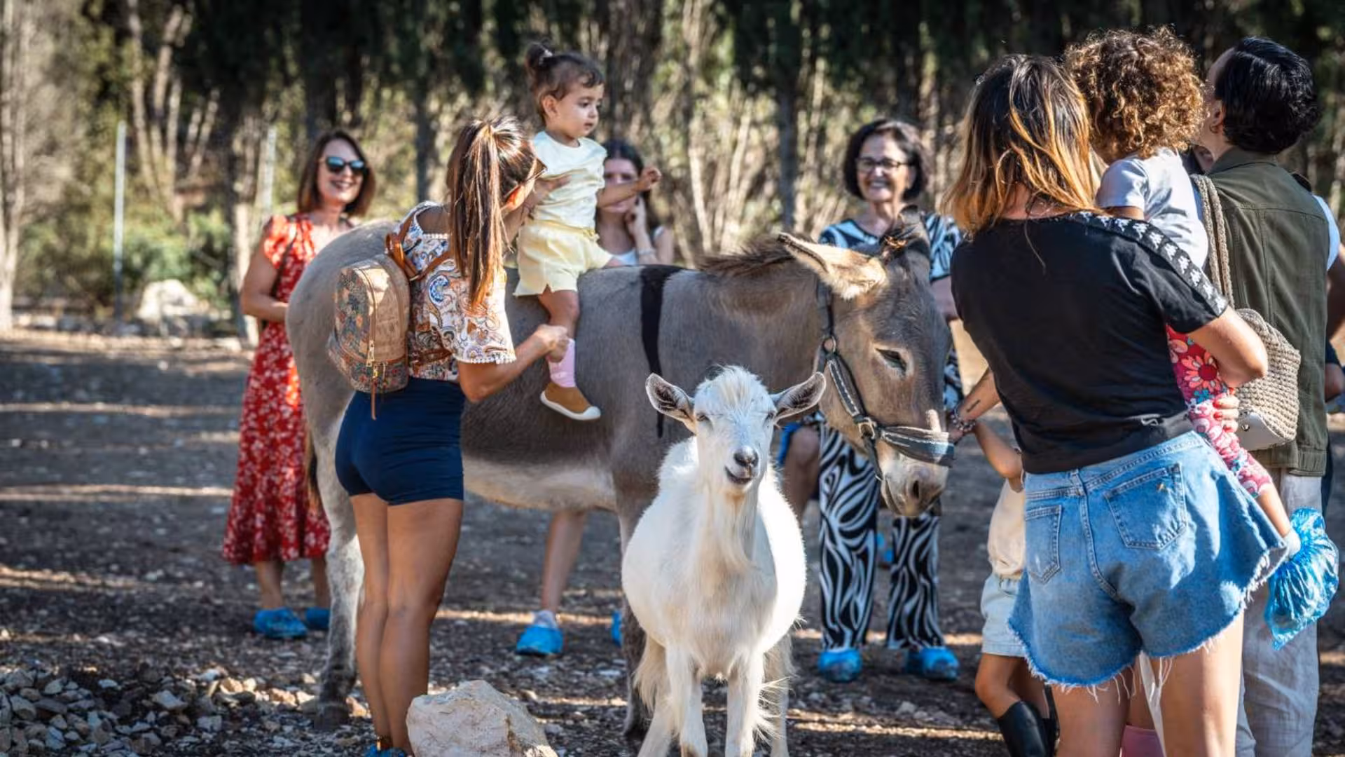 Families interacting with animals at Olmedo shelter in Alghero, featuring donkey rides and playful goats.