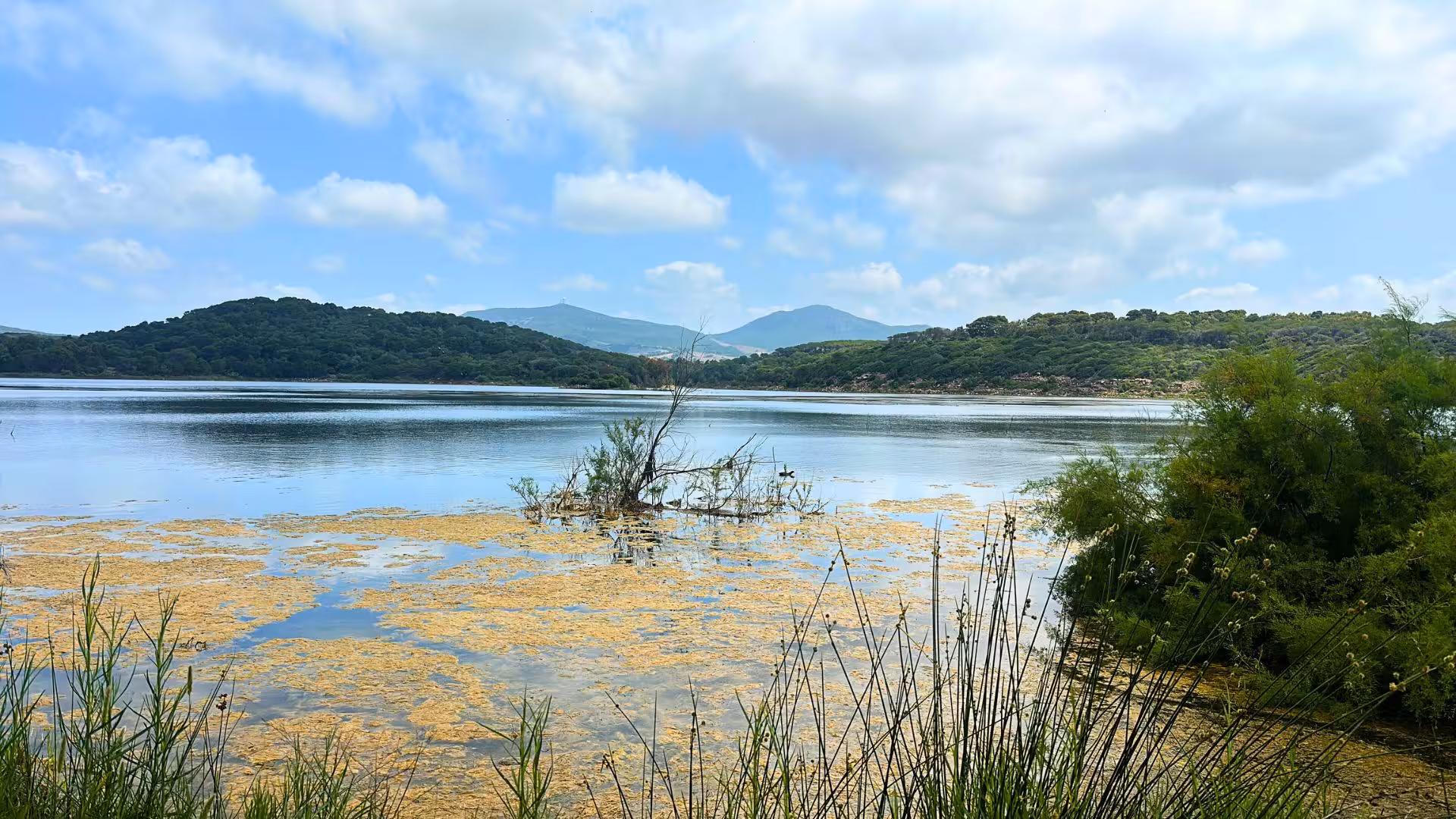 Peaceful lake surrounded by greenery and distant hills, showcasing natural beauty on the Alghero quad tour route.