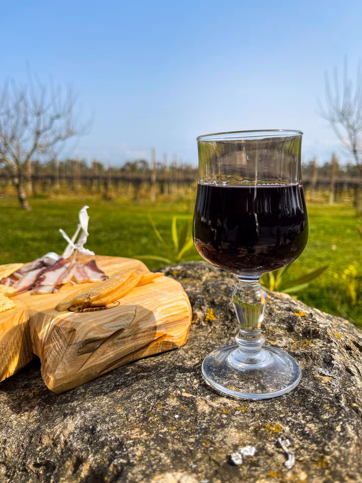 Glass of red wine and charcuterie on rustic rock setting in Alghero vineyard, perfect for aperitif tours.