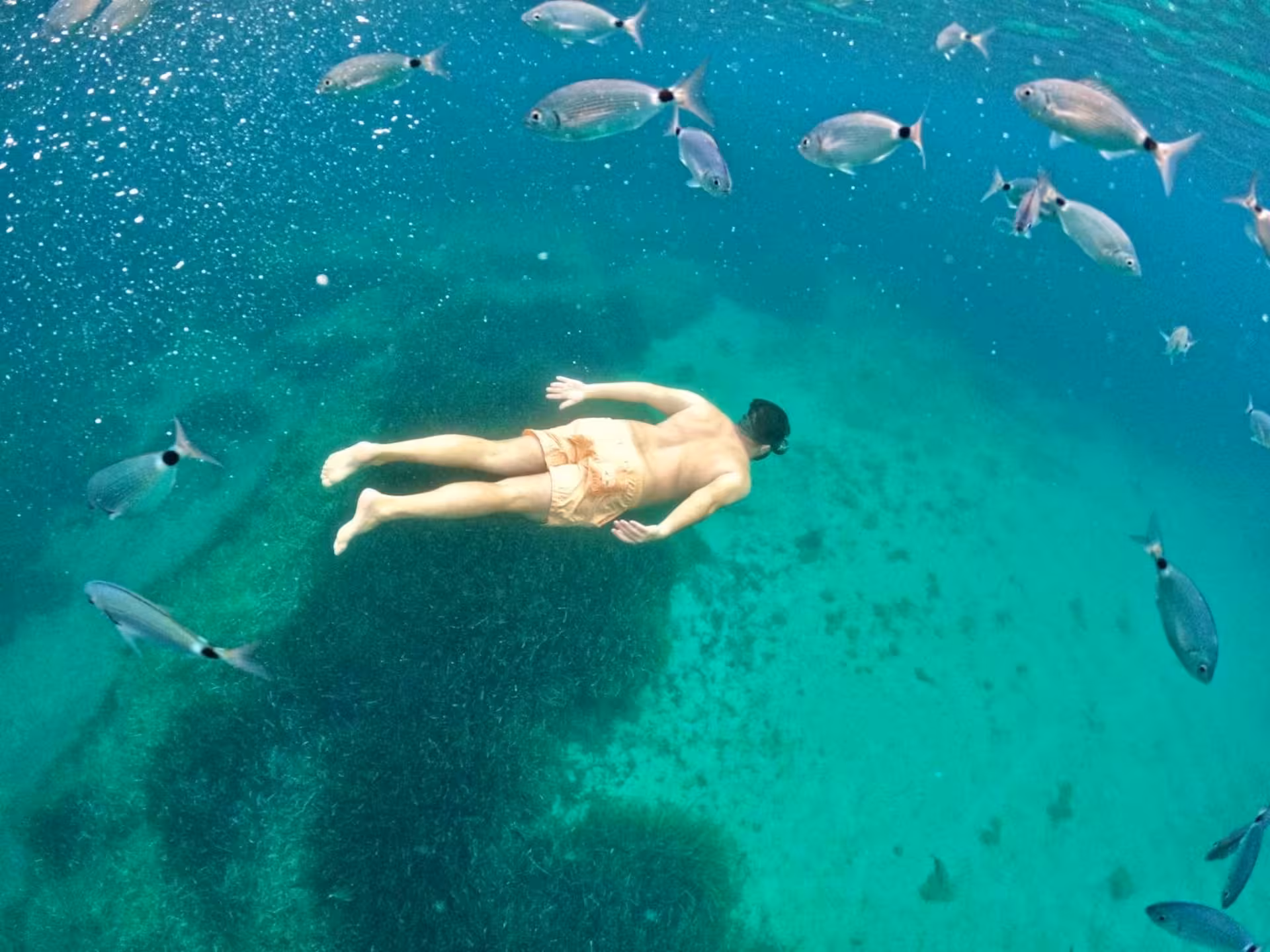 Snorkeler swimming among fish in crystal-clear waters of Capo Caccia, highlighting Alghero's vibrant marine life.