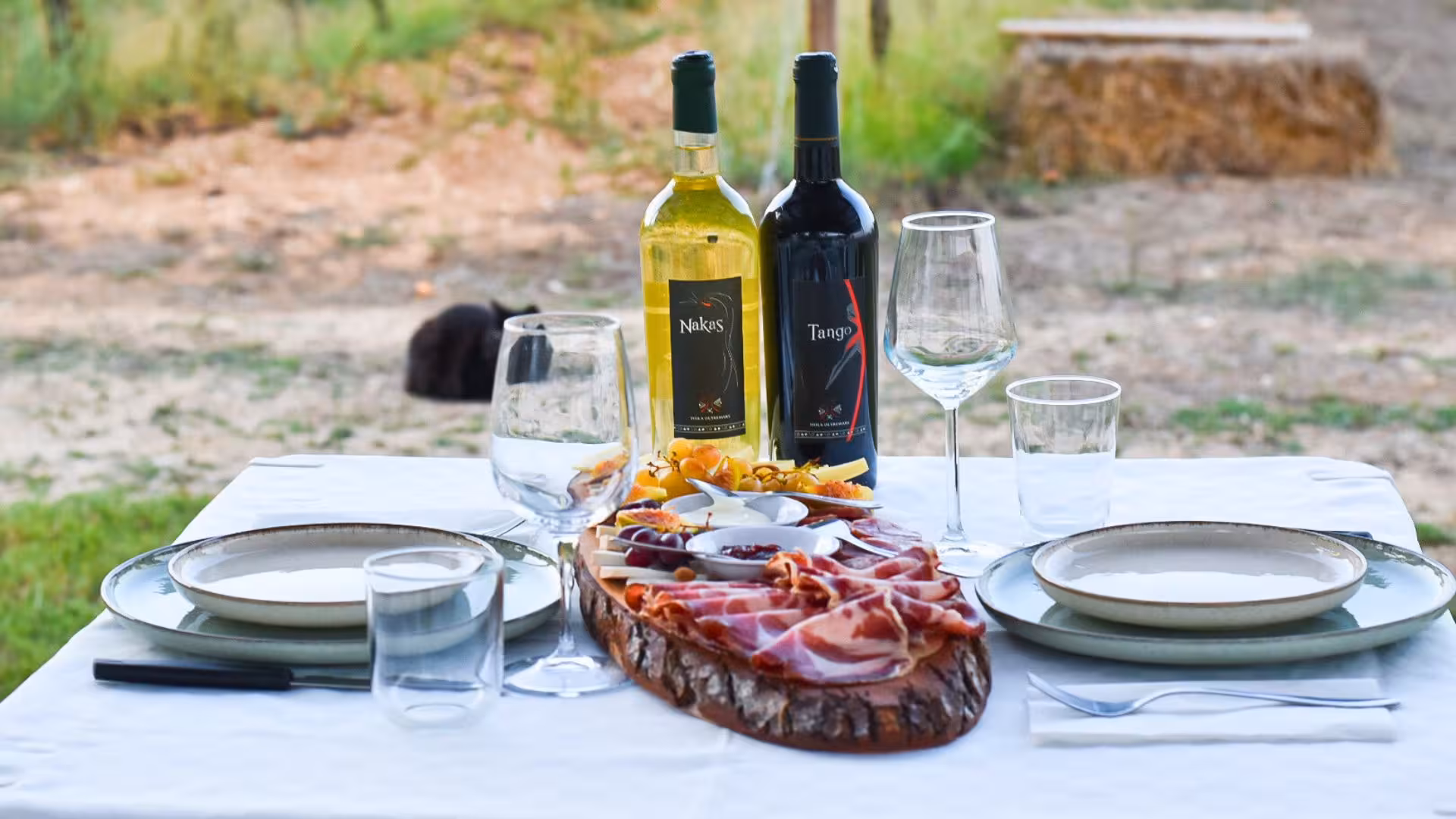 Outdoor table set with wine bottles, cured meats, and glasses for Alghero vineyard aperitif tour.