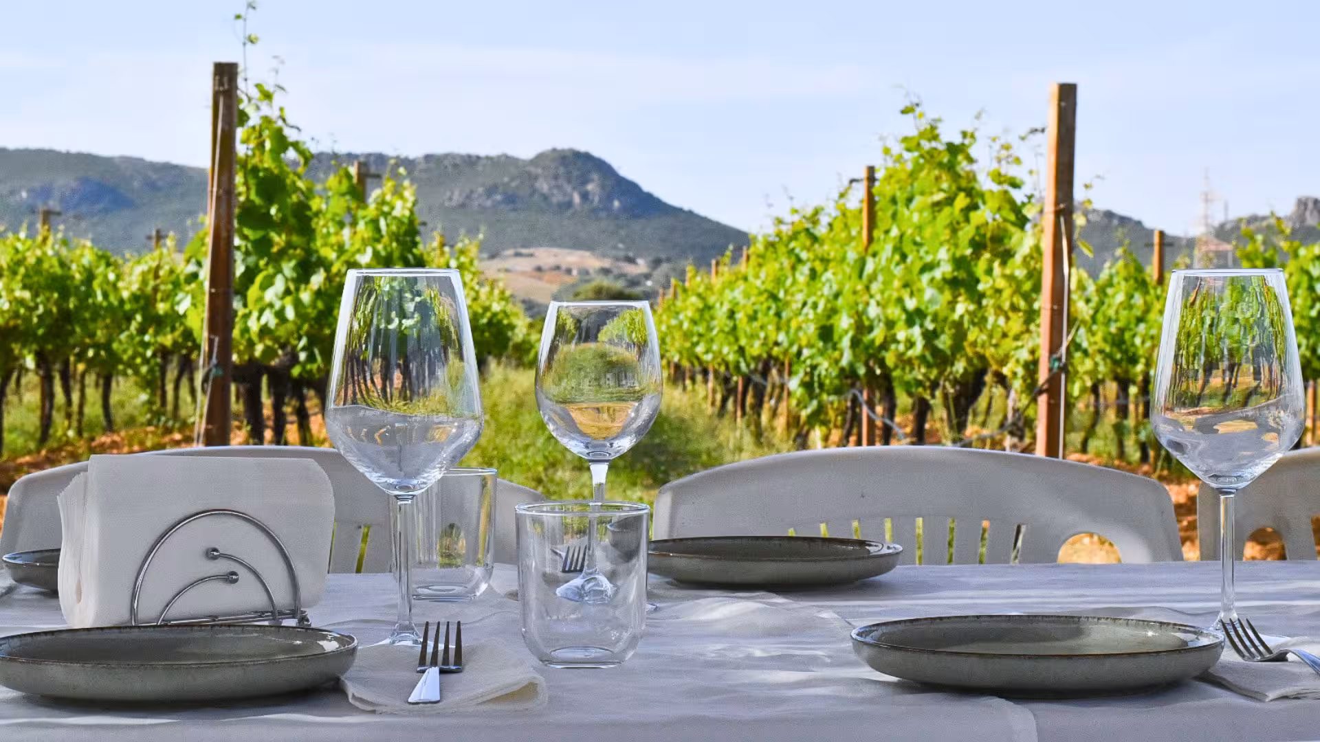 Elegant table setting with wine glasses in an Alghero vineyard, offering a scenic aperitif experience.