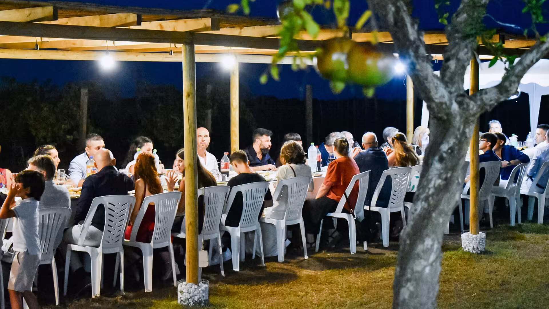 Group enjoying an evening meal in Alghero vineyard under illuminated pergola, highlighting social dining experience.