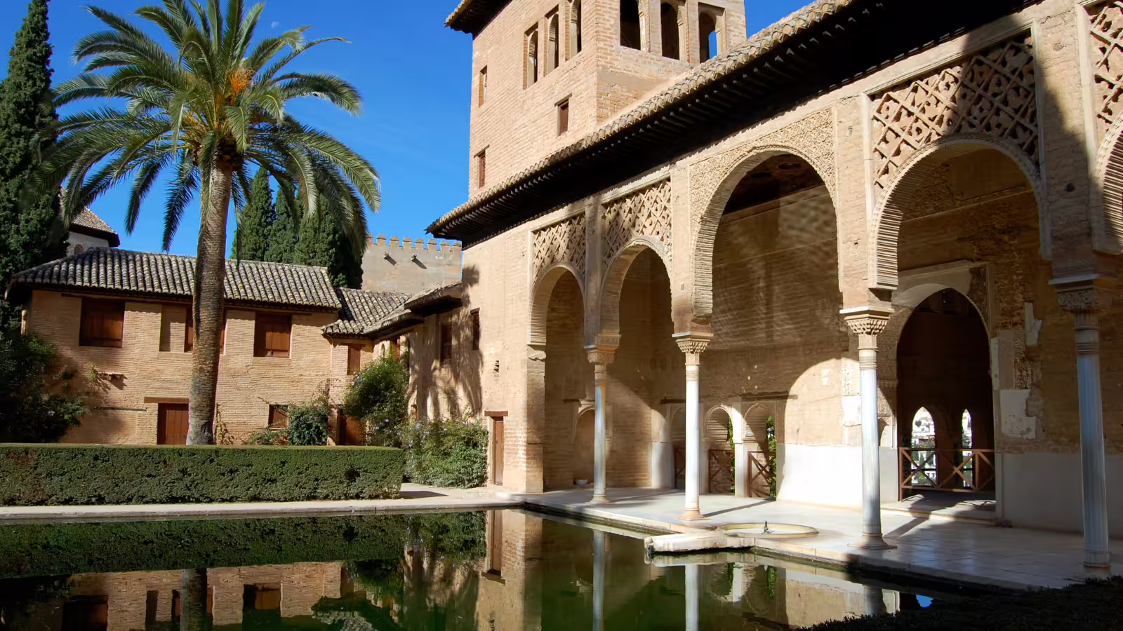 Alhambra group walking tour view of Granada’s Court of the Myrtles arches, palm tree and reflecting pool