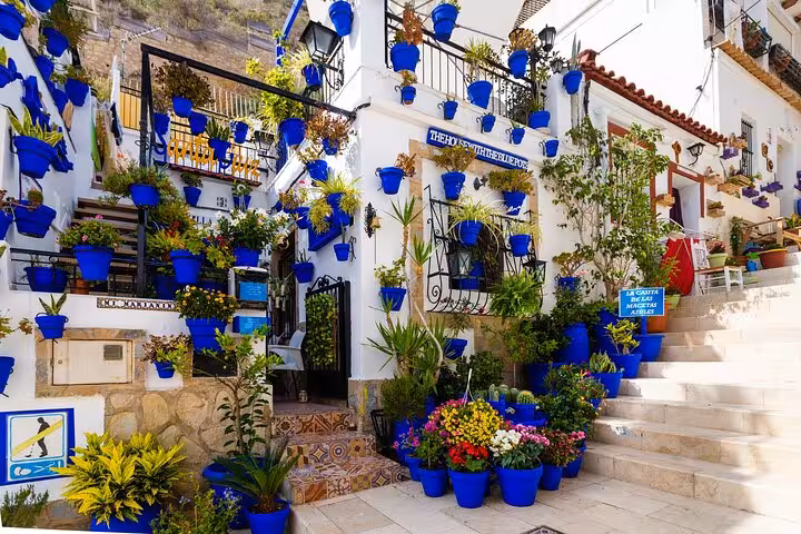 Charming Alicante street adorned with vibrant blue flower pots, perfect for a private city walk with a local guide.