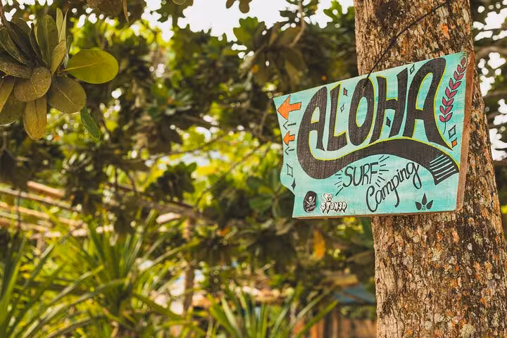 Colorful 'Aloha Surf Camping' sign on a tree surrounded by tropical foliage at Sono Beach, ideal for adventure seekers.