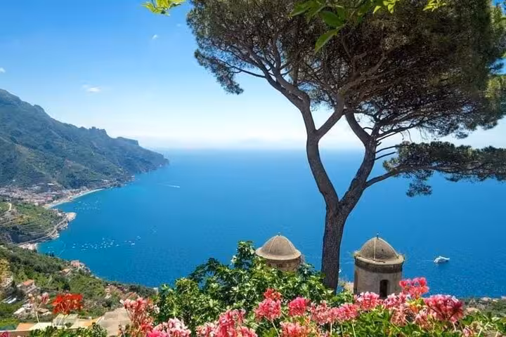Scenic view of the Amalfi Coast from Ravello, featuring vibrant flowers, a lone tree, and the vast blue sea.