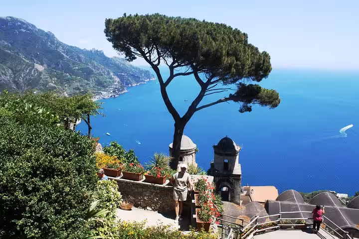 Breathtaking view of the Amalfi Coast from a lush garden terrace featuring a picturesque pine tree.