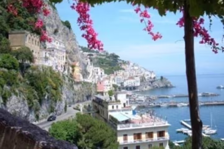 Colorful cliffside houses and marina of Amalfi framed by pink bougainvillea on a shared tour of Ravello, Amalfi and Positano