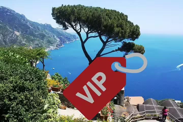 VIP tag over panoramic Amalfi Coast viewpoint with pine tree and blue sea, exclusive small group tour experience