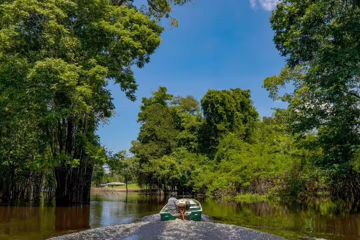 Boat navigating through lush Amazon Jungle waterways under a clear blue sky, highlighting adventure at Amazon Mamori Lodge.
