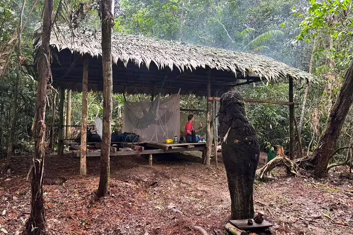 Rustic Amazon jungle camp with thatched roof shelter for deep survival experience at Amanã Lake.