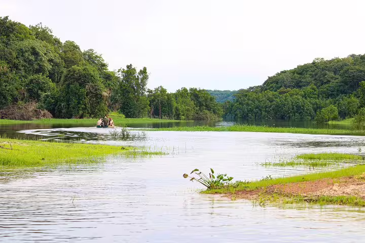 Canoe gliding through lush green waterways of the Amazon Jungle near Mamori Lodge, ideal for exploration.