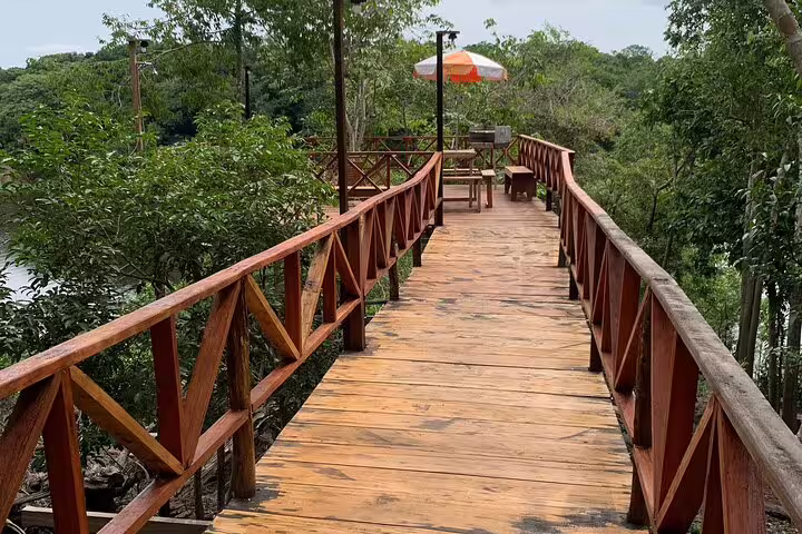 Scenic wooden walkway at Amazon Mamori Lodge leading to a serene deck surrounded by lush Amazon Jungle foliage.