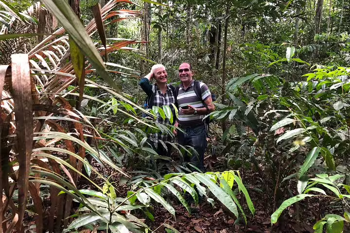 Tourists exploring lush Amazon rainforest trails during the Amazon Adventure Trip at Tapiri Rio Negro Lodge.