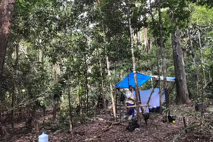 Rustic campsite setup in dense Amazon rainforest, showcasing adventure and survival experience in nature.
