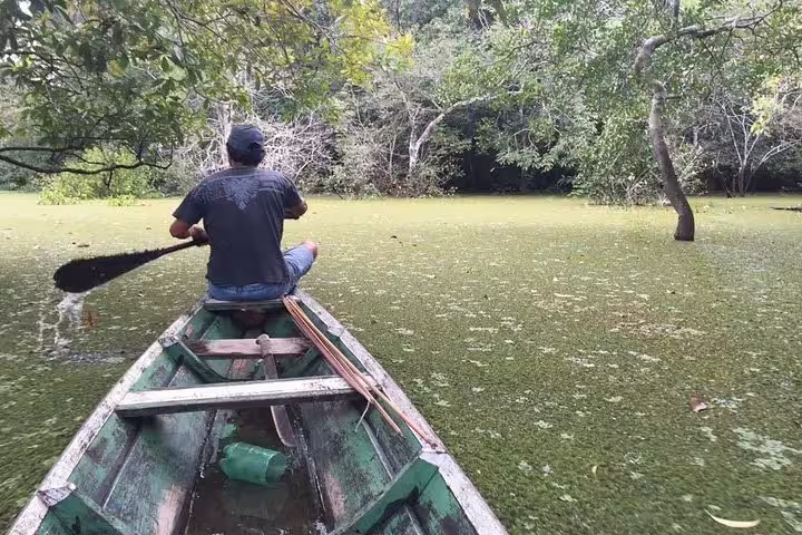 Explorer paddling a canoe through lush Amazon rainforest waters on a 6-day survival adventure tour.