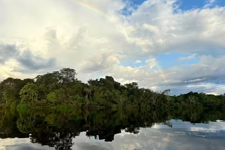 Lush rainforest and a rainbow over Amanã Lake, highlighting Amazon's beauty on a survival trip.