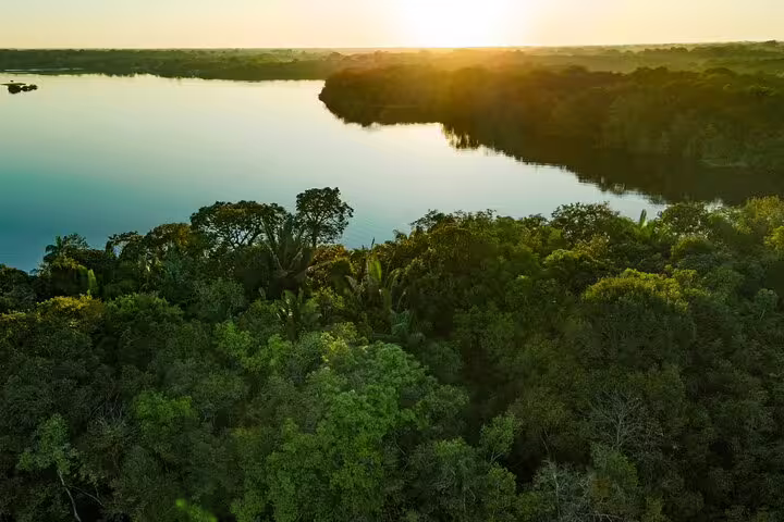 Aerial view of the Amazon rainforest and river at sunset, highlighting the lush greenery and serene waters.