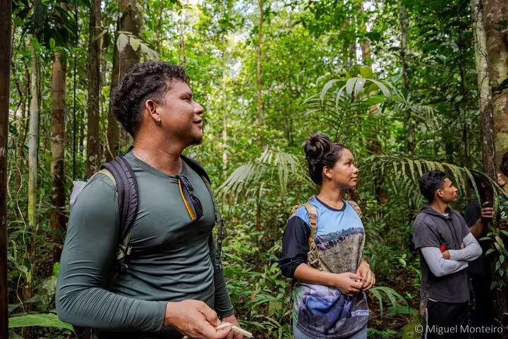 Group of adventurers exploring lush Amazon rainforest on a survival expedition at Amanã Lake.