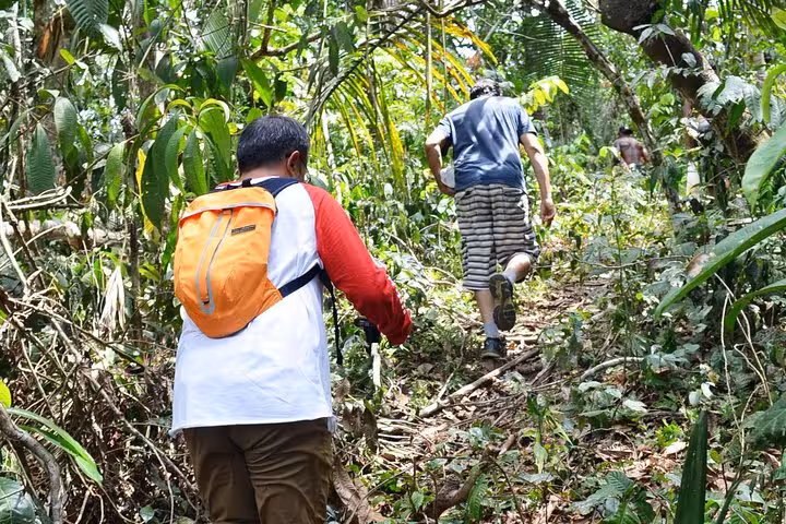 Hikers with backpacks follow a jungle trail on an Amazon rainforest 4-hour trekking tour with guide