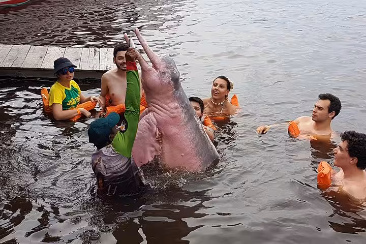 Travelers swimming with pink Amazon river dolphin near dock, highlight of 6-day Amazon Jungle Adventure Tour