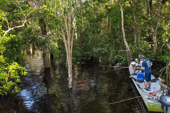 Adventurers fishing from a boat amidst dense Amazon jungle waterways, showcasing the immersive Amazon Survival Tour experience.