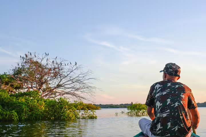 Traveler in camo gear explores Amazon river at sunrise, surrounded by lush greenery and abundant wildlife.