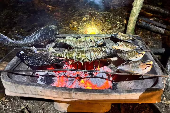 Grilled fish over open fire during Amazon jungle survival trip at Amanã Lake.