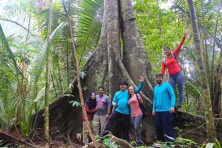 Group of tourists exploring the Amazon rainforest beside a giant tree, showcasing adventure in Amazon Tapiri Floating Lodge.
