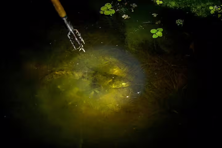 A spear poised above a partially visible fish in murky Amazon waters, showcasing traditional fishing techniques.