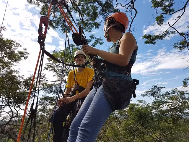 Guided Amazon tree climbing tour with climbers in helmets and harnesses suspended on ropes above the canopy