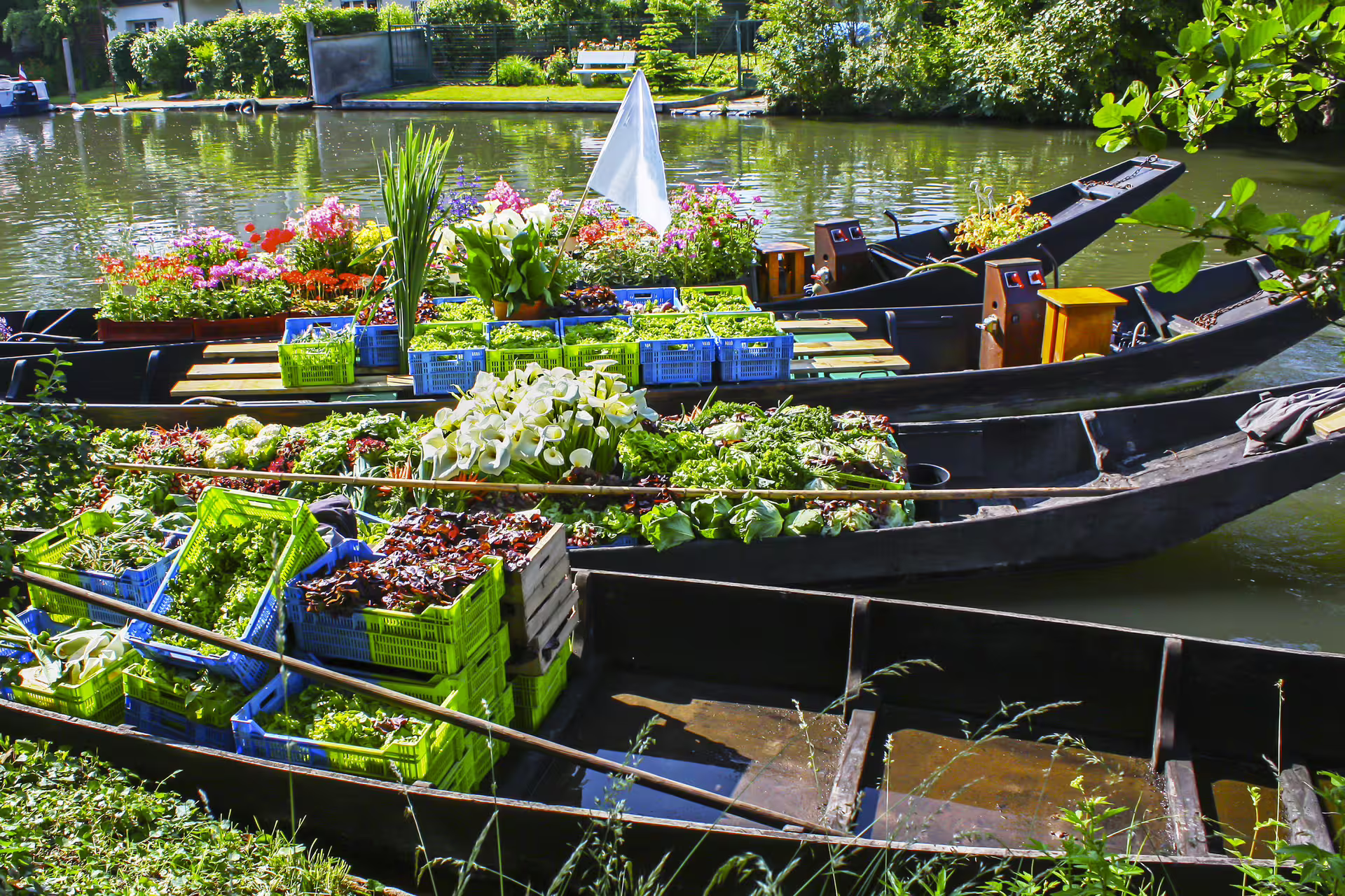 Traditional market boats with flowers and produce in Amiens Hortillonnages, featured on 1-day audioguide walk