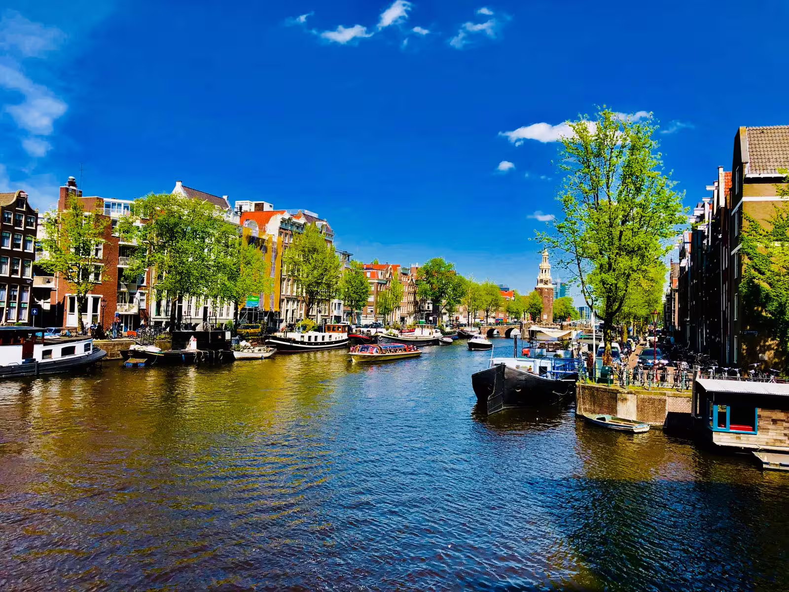 Scenic view of Amsterdam canal with boats, historic buildings, and vibrant trees, perfect for a walking tour and canal cruise.