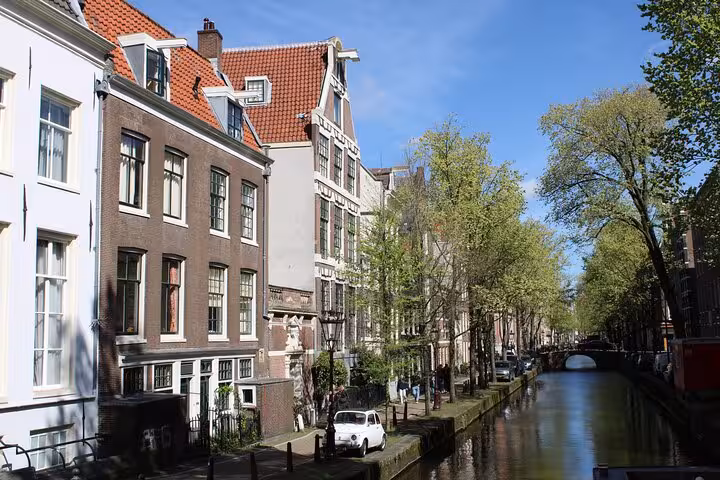 Amsterdam canal houses and trees along a quiet waterway, ideal scenery on a customized private walking tour