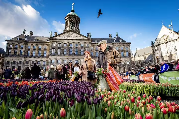 Tulip market on Dam Square with the Royal Palace, a fun stop on an Amsterdam e-scavenger hunt adventure