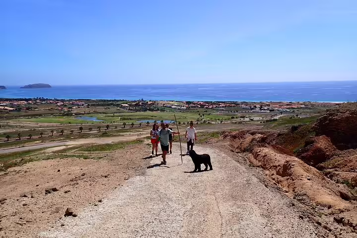 Hikers with a dog enjoy panoramic ocean views on the Ana Ferreira Caves & Peaks Trek, showcasing scenic Madeira landscapes.