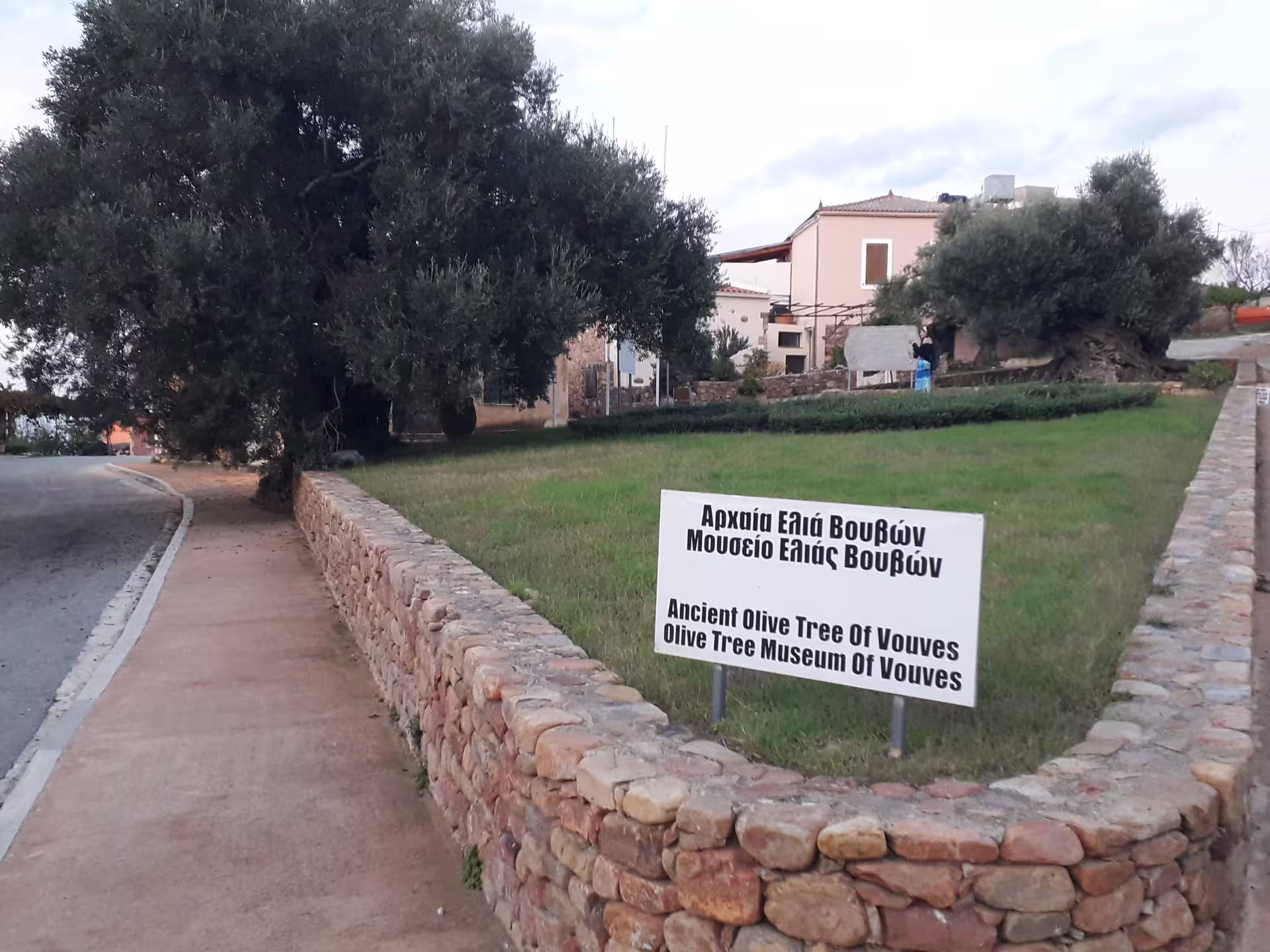 Visit the Ancient Olive Tree Museum of Vouves, a must-see on your 5-day Crete exploration private tour.