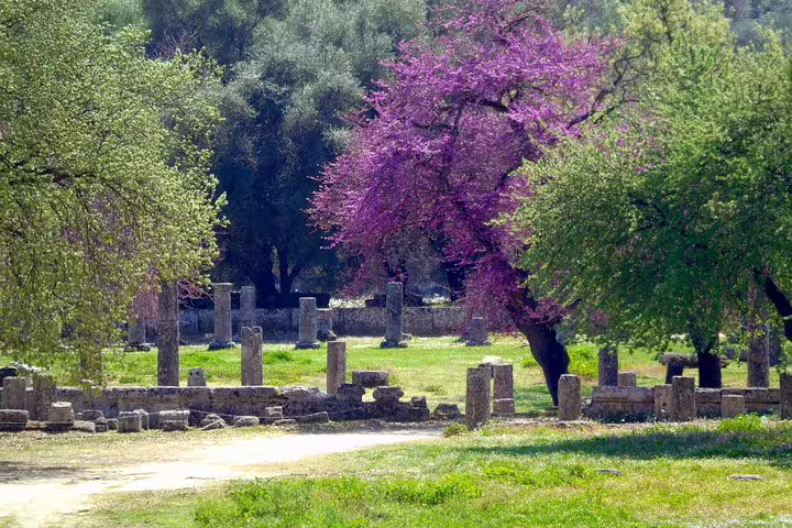 Spring view of Ancient Olympia ruins and columns, a highlight on a full-day private guided tour from Athens