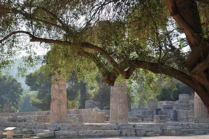 Ancient Olympia ruins framed by olive tree, highlights on full-day private guided tour from Athens