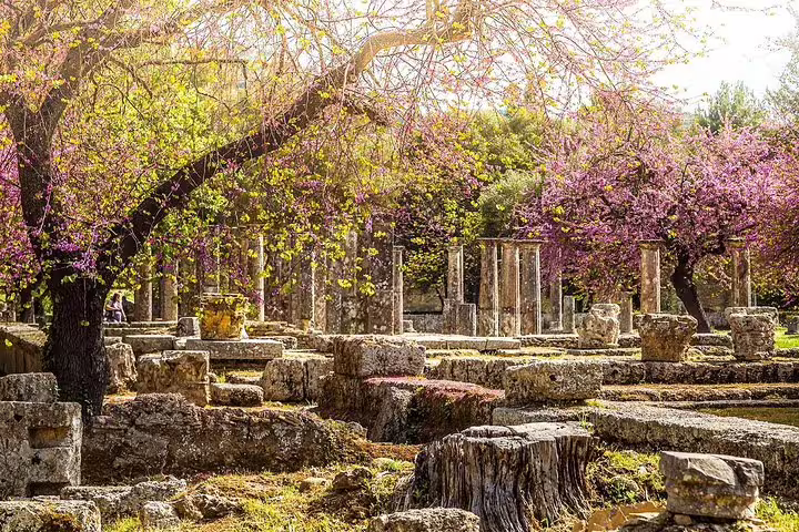 Spring blossoms over ruins and stone columns at Ancient Olympia, Greece, on an Olympia full day tour