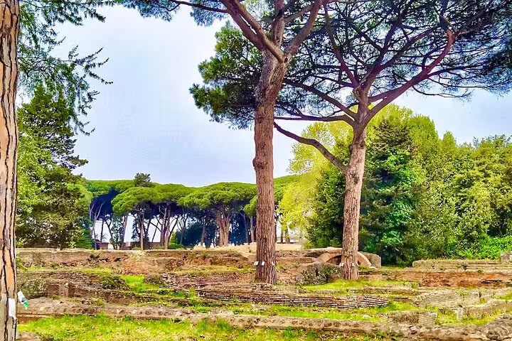 Ancient Ostia Antica ruins and umbrella pines viewed from the river cruise near Rome on a guided archaeological tour