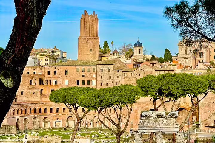 Panoramic view of ancient Roman Forum ruins and Palatine Hill with umbrella pines on a guided Rome Colosseum history tour