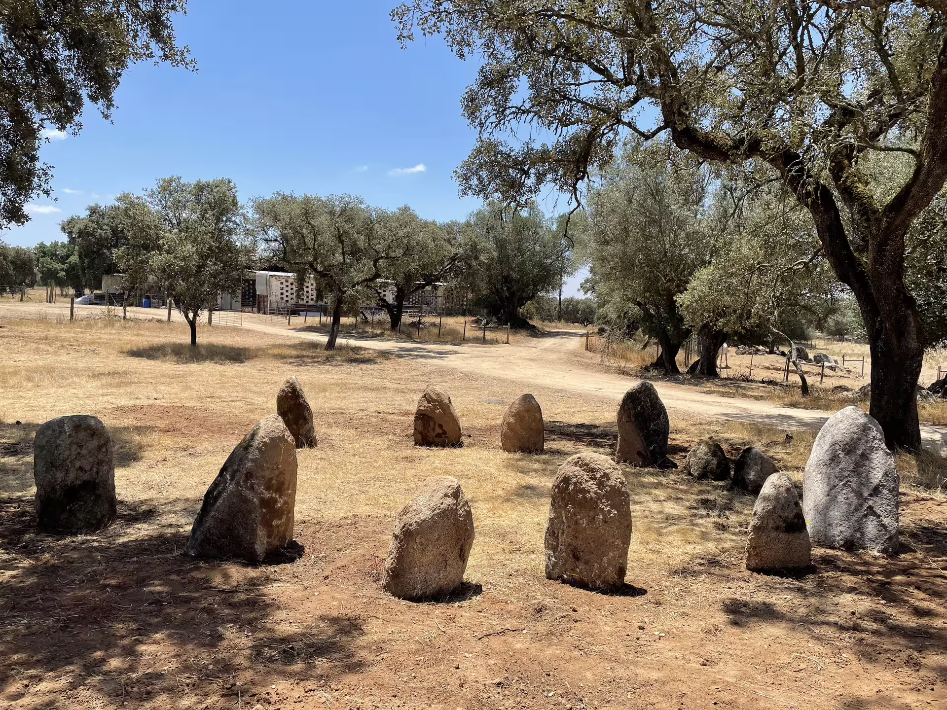 Ancient stone circle under the shade of oak trees in Alentejo, offering a glimpse into the region's prehistoric past.