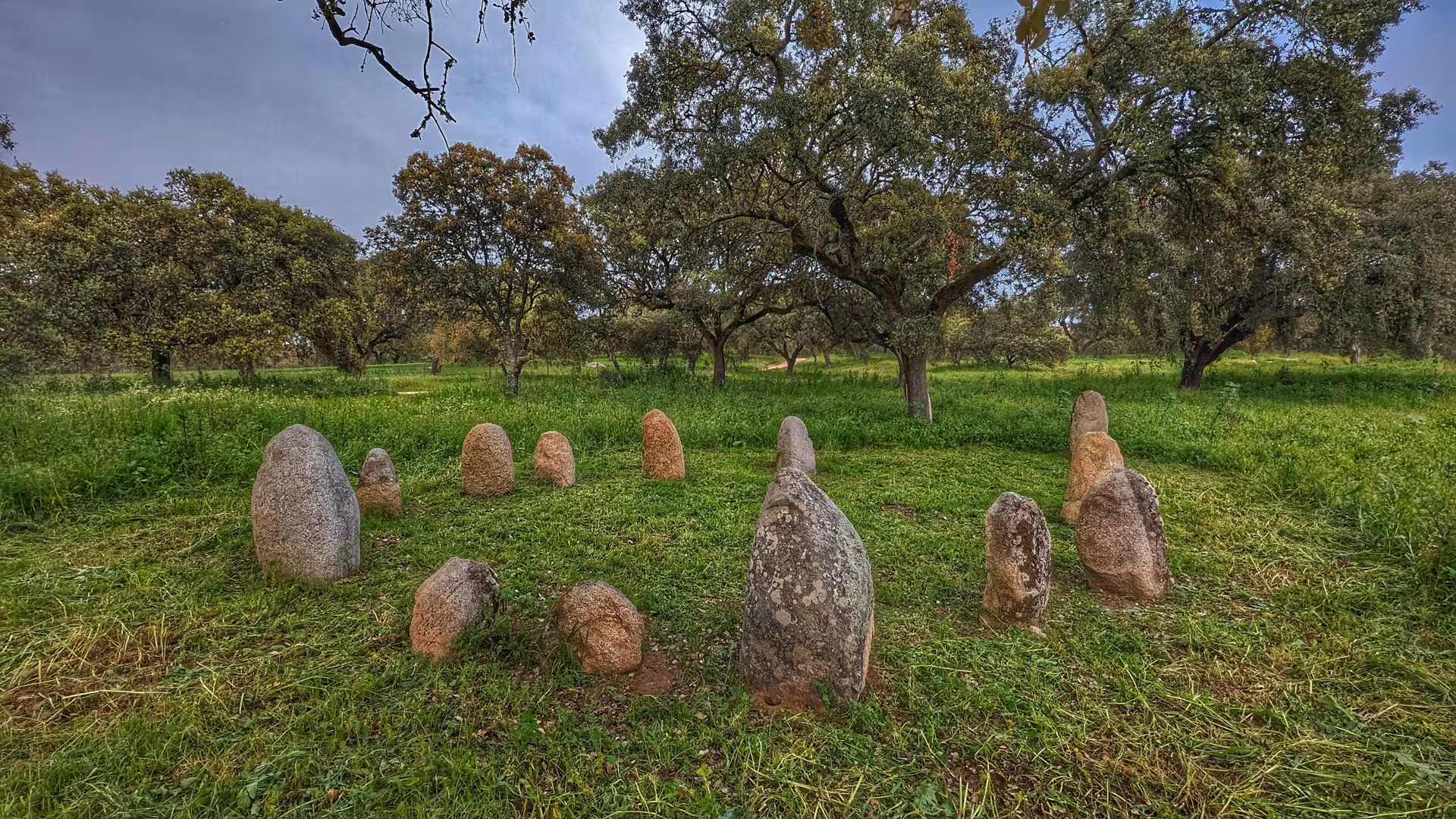 Ancient stone circle nestled among trees at Herdade Alentejana, offering a glimpse into Portugal's prehistoric past.