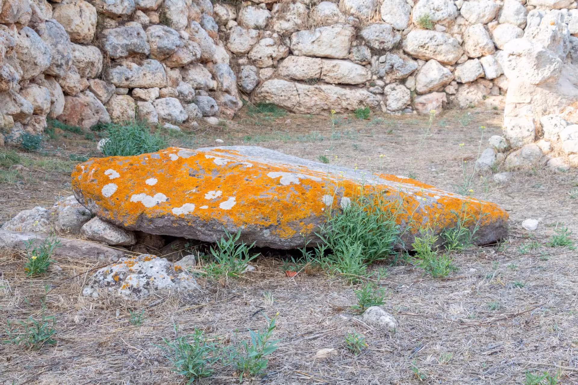 Lichen-covered ancient stone slab at Su Crucifissu Mannu, framed by rustic stone walls and sparse greenery.