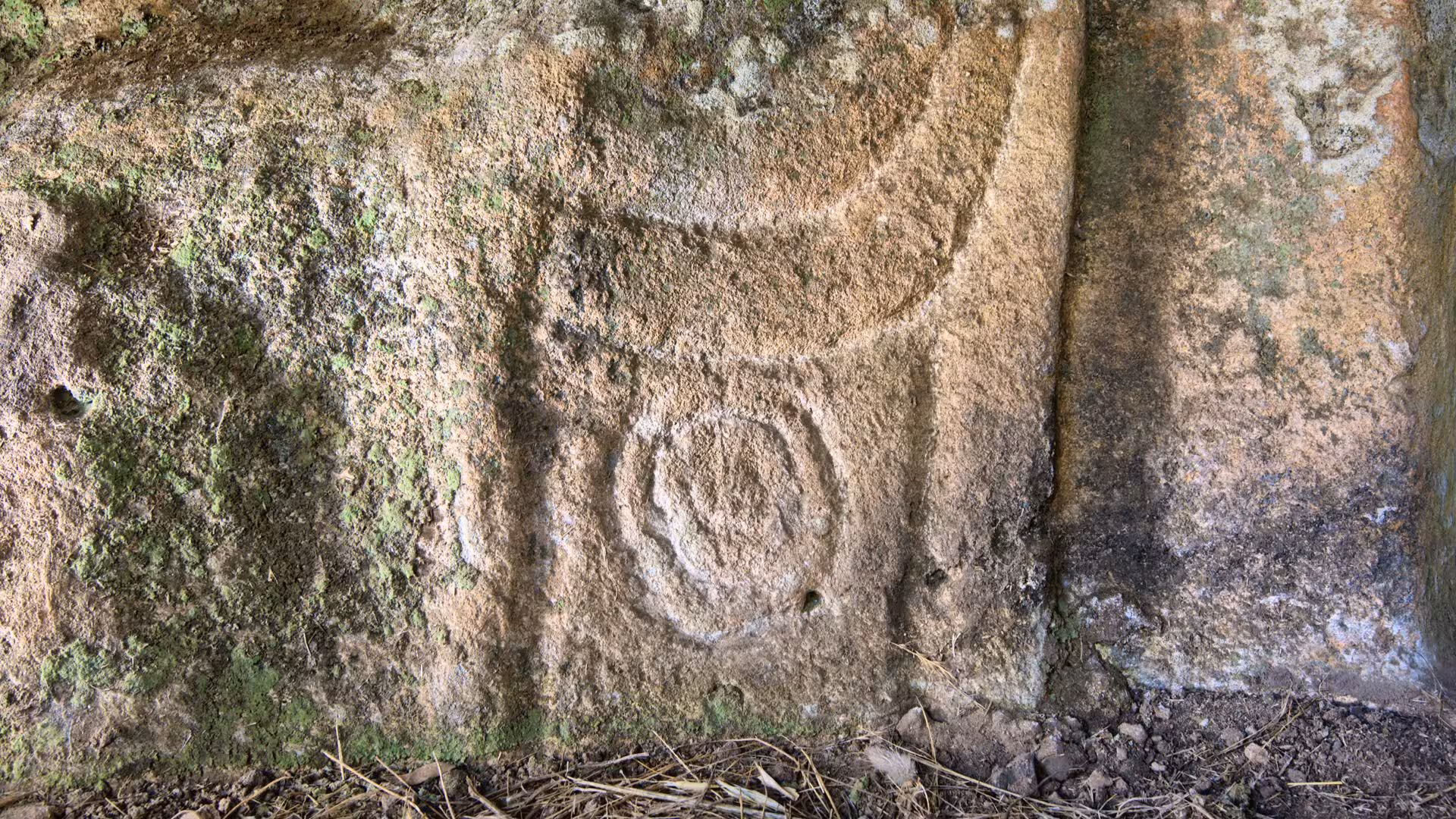Uncover circular engravings on weathered stones at Anghelu Ruju Necropolis, Alghero, highlighting ancient craftsmanship with audio guides.