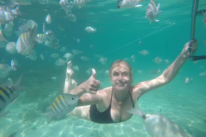 A snorkeler gives a thumbs-up while swimming among colorful fish in the vibrant waters of Angra & Ilha Grande.